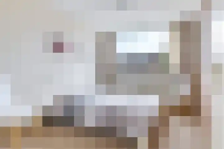 Eindakkers 4 Dodewaard thumbnail 35