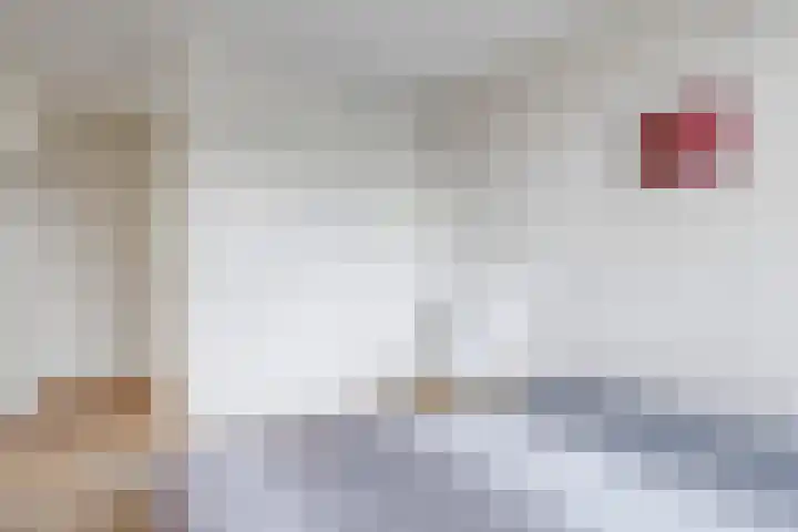 Eindakkers 4 Dodewaard thumbnail 36