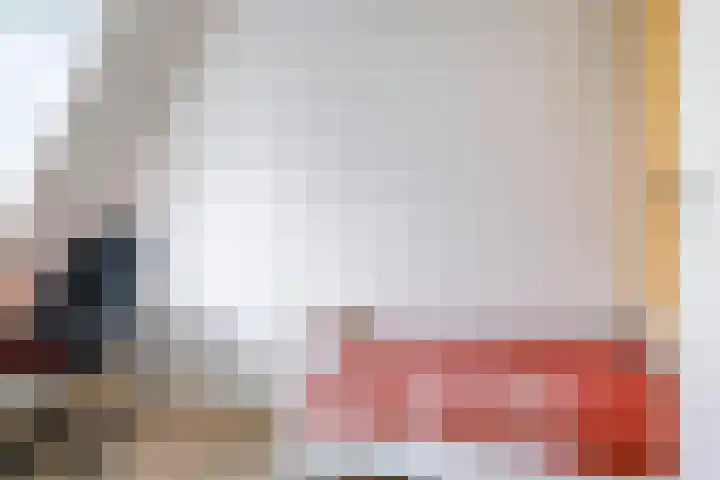 Eindakkers 4 Dodewaard thumbnail 39