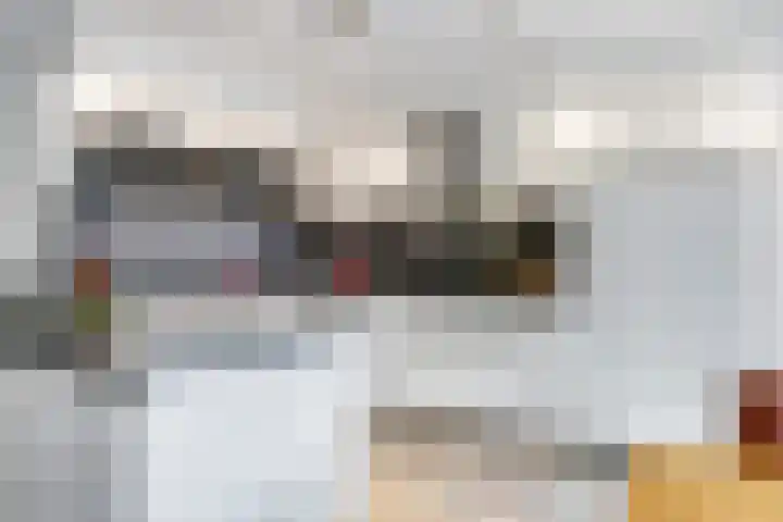 Eindakkers 4 Dodewaard thumbnail 4