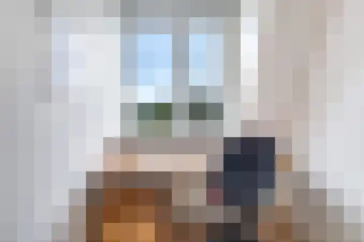Eindakkers 4 Dodewaard thumbnail 40