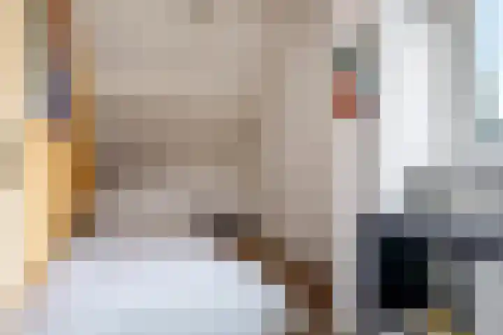 Eindakkers 4 Dodewaard thumbnail 41