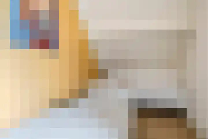 Eindakkers 4 Dodewaard thumbnail 42