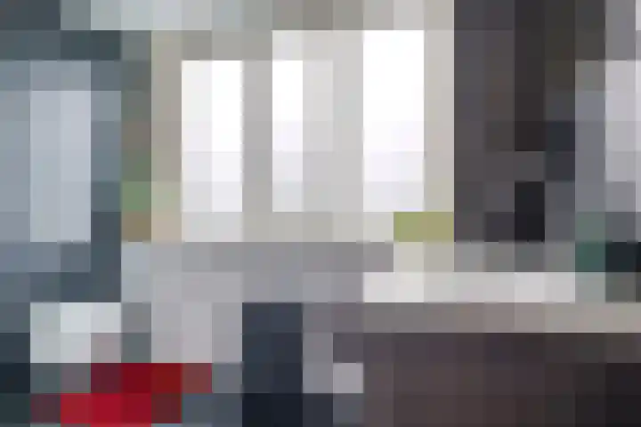 Eindakkers 4 Dodewaard thumbnail 43