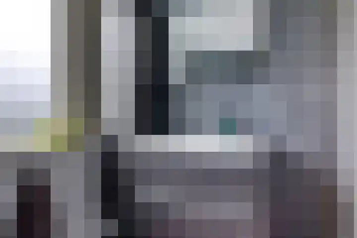Eindakkers 4 Dodewaard thumbnail 45