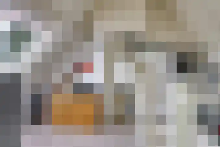 Eindakkers 4 Dodewaard thumbnail 48