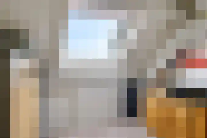 Eindakkers 4 Dodewaard thumbnail 49