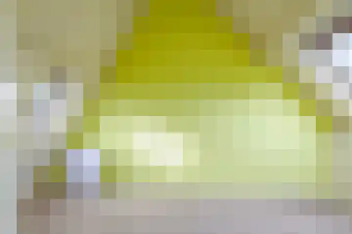 Eindakkers 4 Dodewaard thumbnail 50