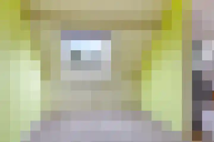 Eindakkers 4 Dodewaard thumbnail 51