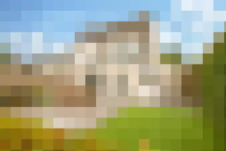 Eindakkers 4 Dodewaard thumbnail 53
