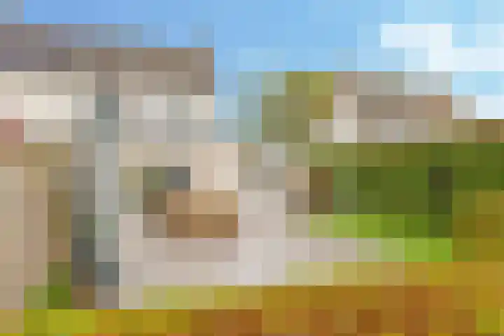 Eindakkers 4 Dodewaard thumbnail 55