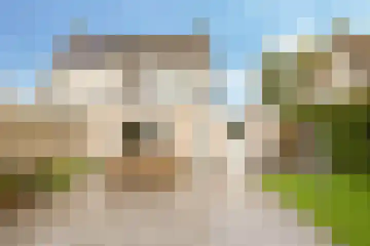 Eindakkers 4 Dodewaard thumbnail 56