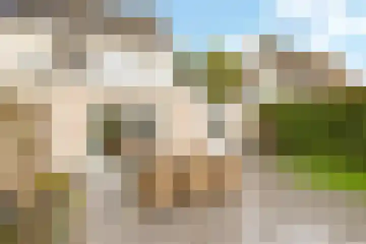 Eindakkers 4 Dodewaard thumbnail 57