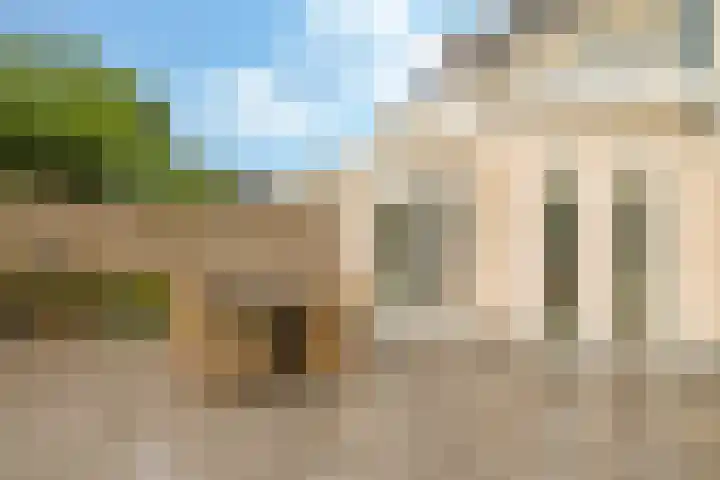 Eindakkers 4 Dodewaard thumbnail 58