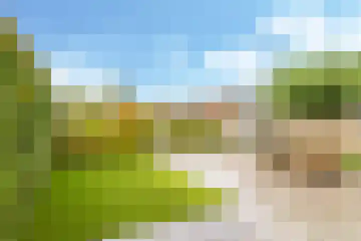 Eindakkers 4 Dodewaard thumbnail 59