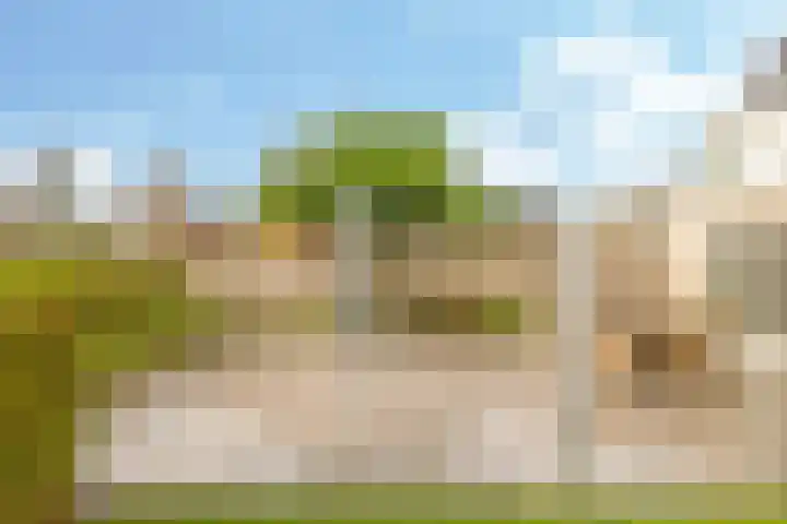 Eindakkers 4 Dodewaard thumbnail 61