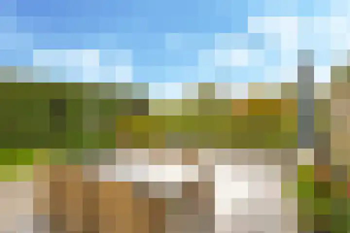 Eindakkers 4 Dodewaard thumbnail 62