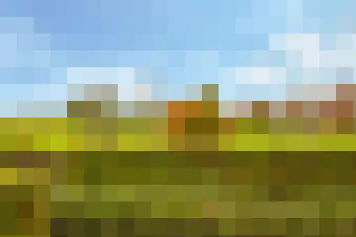 Eindakkers 4 Dodewaard thumbnail 63