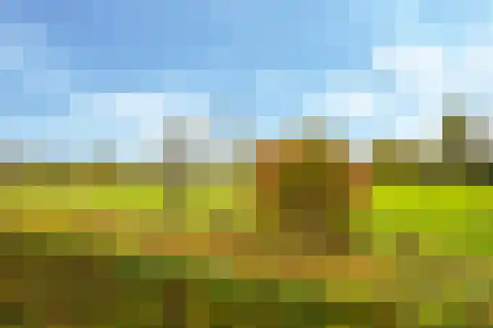 Eindakkers 4 Dodewaard thumbnail 64