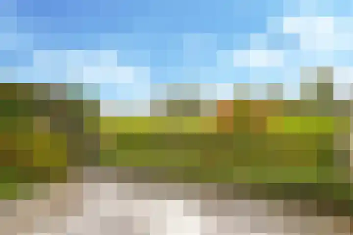 Eindakkers 4 Dodewaard thumbnail 65