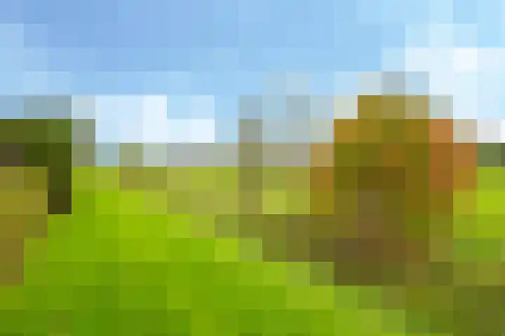 Eindakkers 4 Dodewaard thumbnail 67