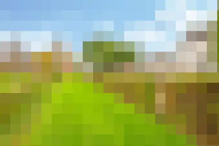 Eindakkers 4 Dodewaard thumbnail 68