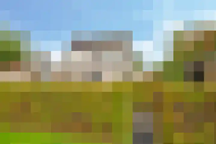 Eindakkers 4 Dodewaard thumbnail 69