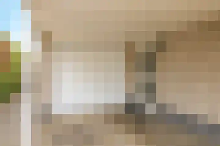 Eindakkers 4 Dodewaard thumbnail 7
