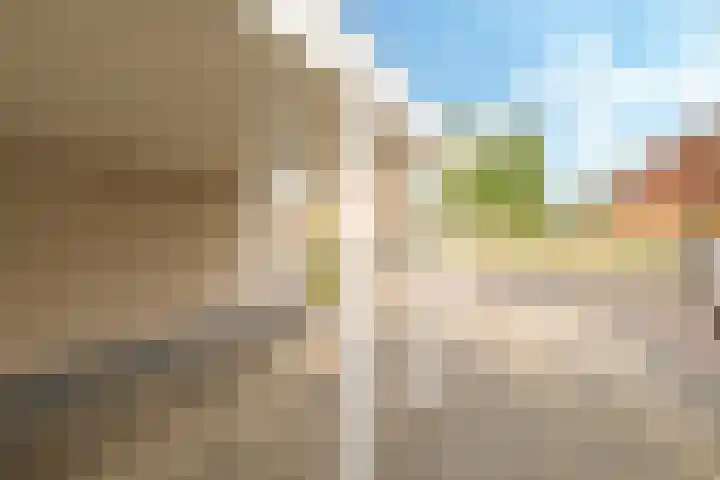 Eindakkers 4 Dodewaard thumbnail 72