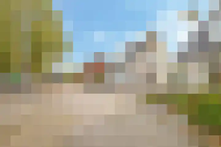 Eindakkers 4 Dodewaard thumbnail 74