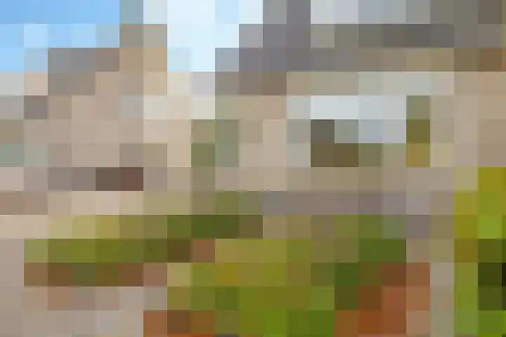 Eindakkers 4 Dodewaard thumbnail 75