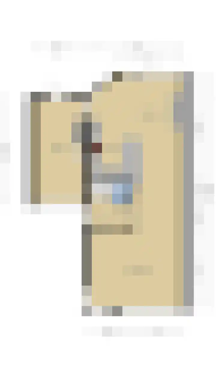 Eindakkers 4 Dodewaard thumbnail 8