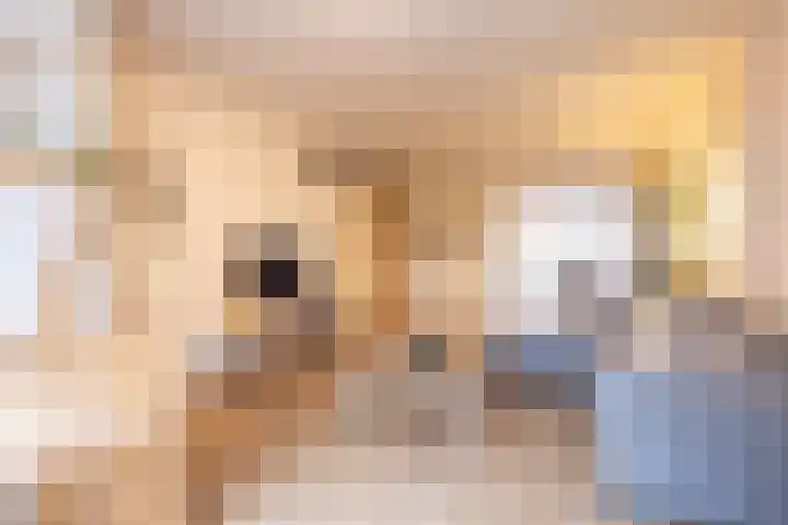 Einder Coolhoff 43 Puth thumbnail 11