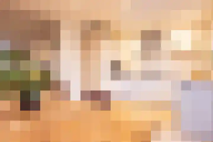 Einder Coolhoff 43 Puth thumbnail 15