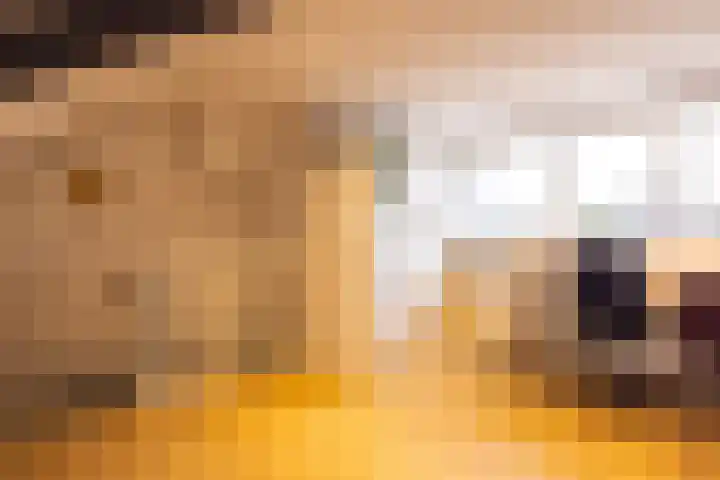 Einder Coolhoff 43 Puth thumbnail 27