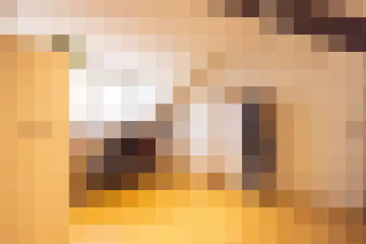 Einder Coolhoff 43 Puth thumbnail 28