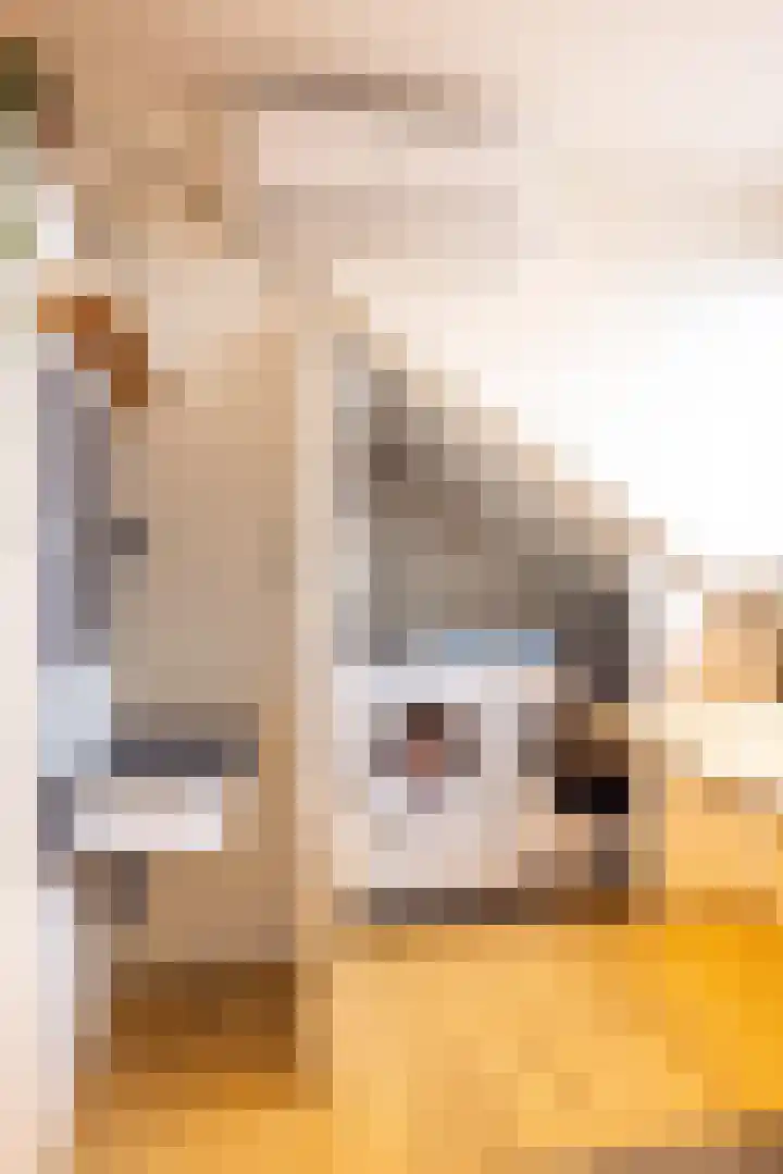 Einder Coolhoff 43 Puth thumbnail 29