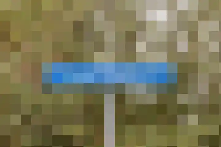 Einder Coolhoff 43 Puth foto 3