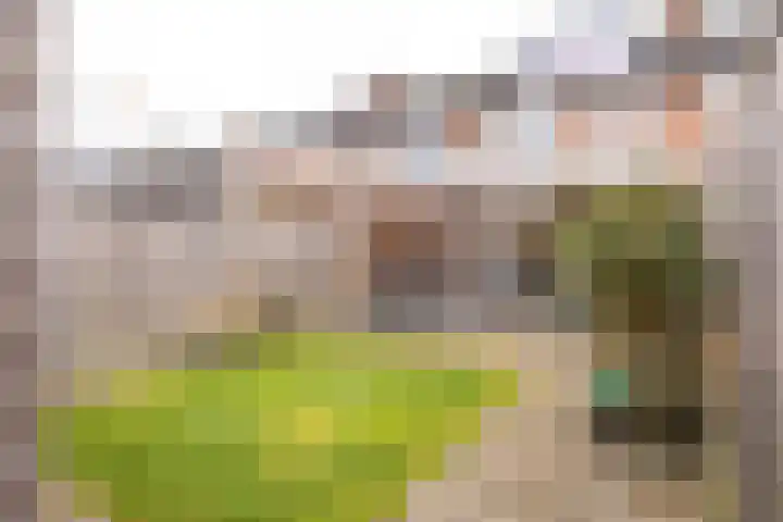 Einder Coolhoff 43 Puth thumbnail 31
