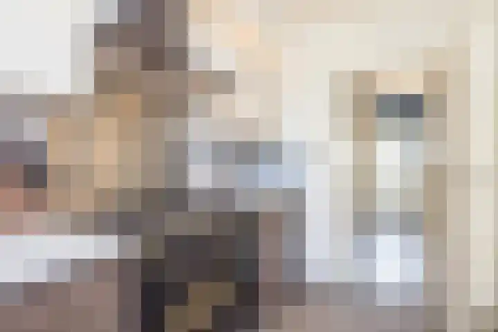 Einderstraat 16 Puth thumbnail 10