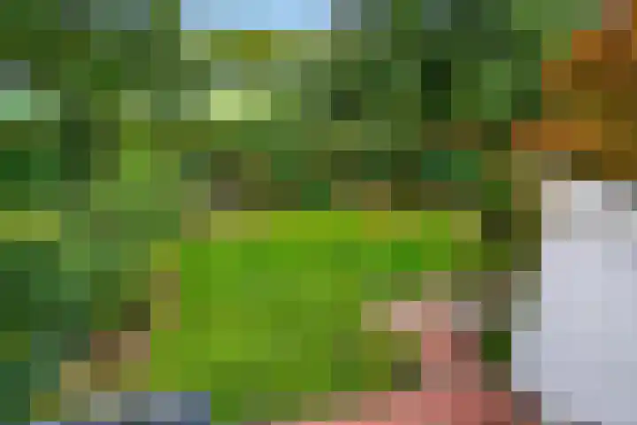 Eindstede 12 Den Haag thumbnail 14