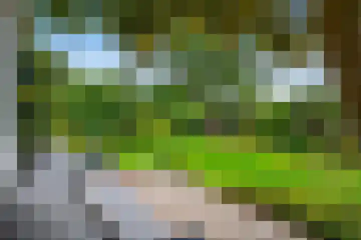 Eindstede 12 Den Haag thumbnail 18