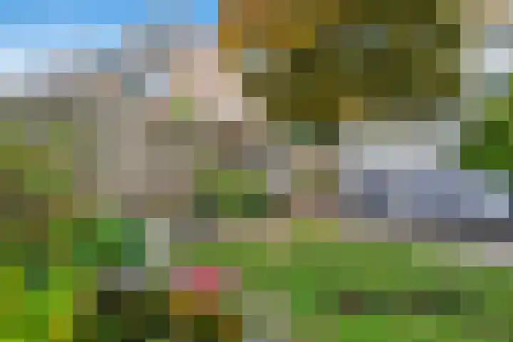 Eindstede 12 Den Haag thumbnail 19
