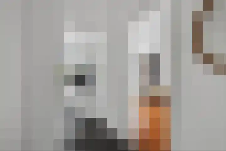 Eindstede 12 Den Haag thumbnail 20