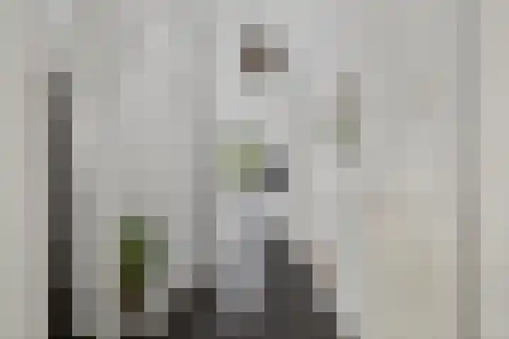 Eindstede 12 Den Haag thumbnail 27
