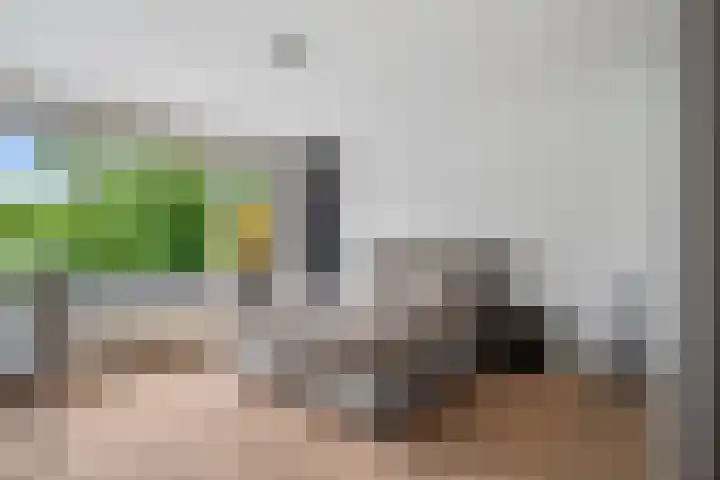 Eindstede 12 Den Haag thumbnail 31