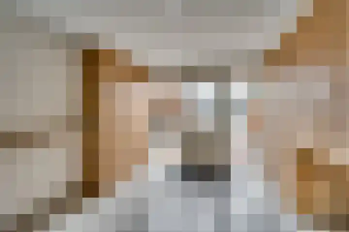 Eindstraat 17 Horn thumbnail 38