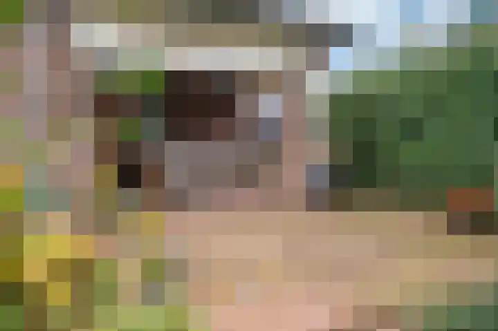 Eindstraat 17 Horn thumbnail 8