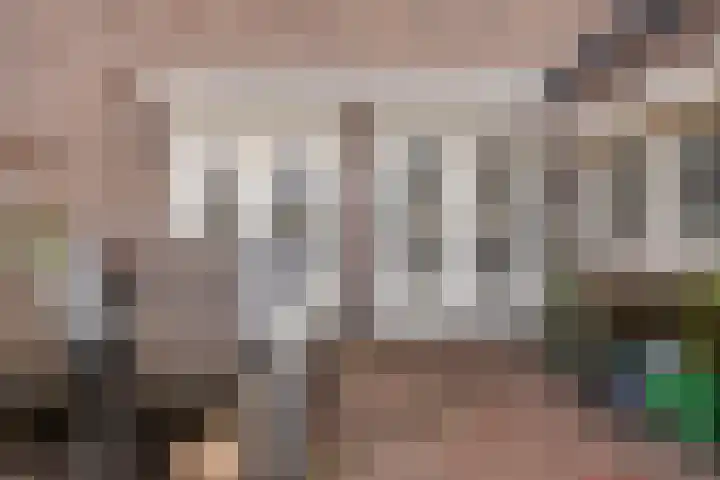 Eindstraat 2 Roosendaal thumbnail 38