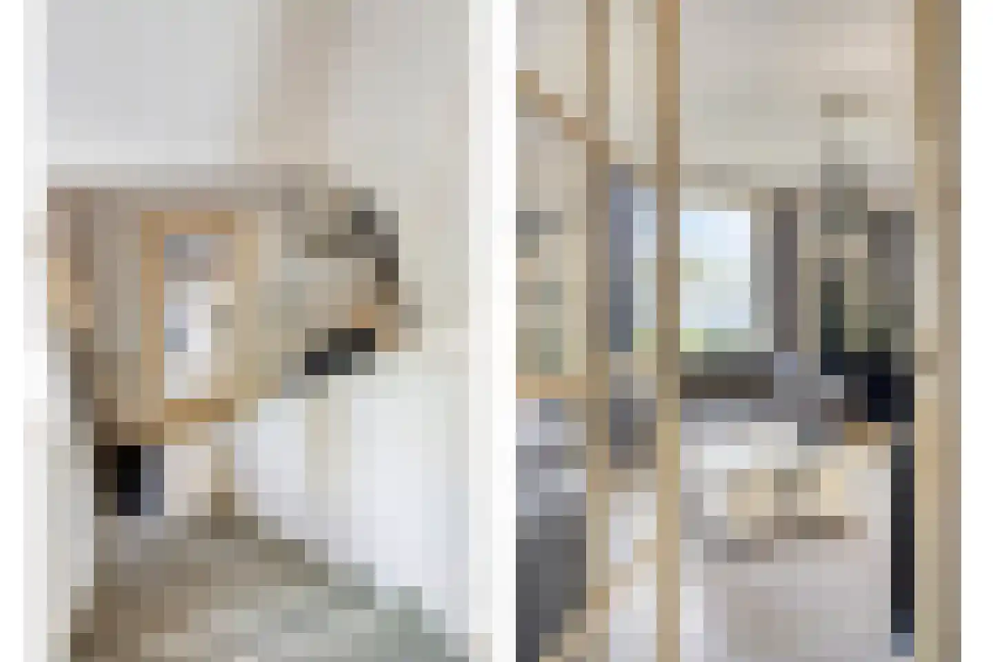 Eindstraat 56 Drunen thumbnail 12